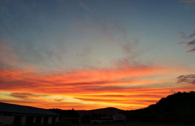 Ganora Guestfarm & Excursions - Foto 59