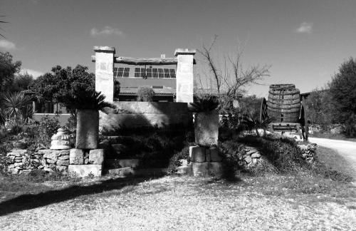 Agriturismo La Crianza - Foto 18