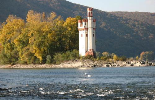 Helle FEWO, 60 qm, Souterrain, eigener Eingang, Rhein und Nahe - Foto 30