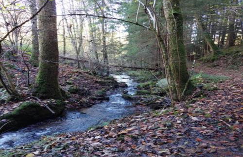 Sonniges Balkonapartment, Ahausen - Foto 16