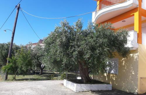 Olive Tree Apartments - Foto 28