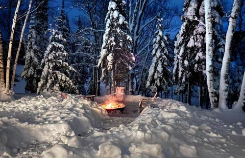 270-Degree Views! Haven on Little Papoose Lake - Foto 25