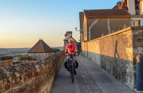 Le nid d hirondelles - Terrasse Jardin Grand garage - Photo 11