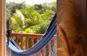Recanto Manoah MAR - Photo 15
