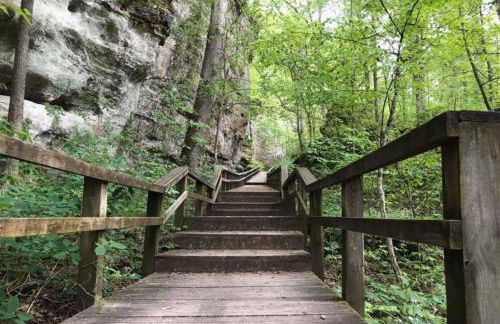 Luxury 4BR Log Cabin Near SIU & Wine Trail - Foto 45