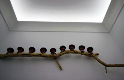 Casa do Marquês - Foto 32