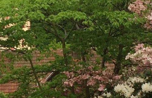 Ferienwohnung Kopf - Photo 10