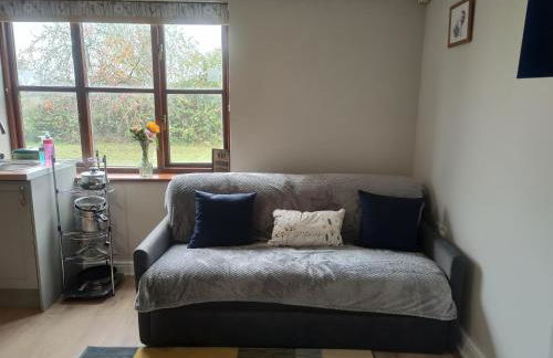 Tranquil Countryside Escape in Rural Kent- Pipistrelle View - Foto 10