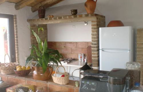 Horta da Quinta - Foto 54