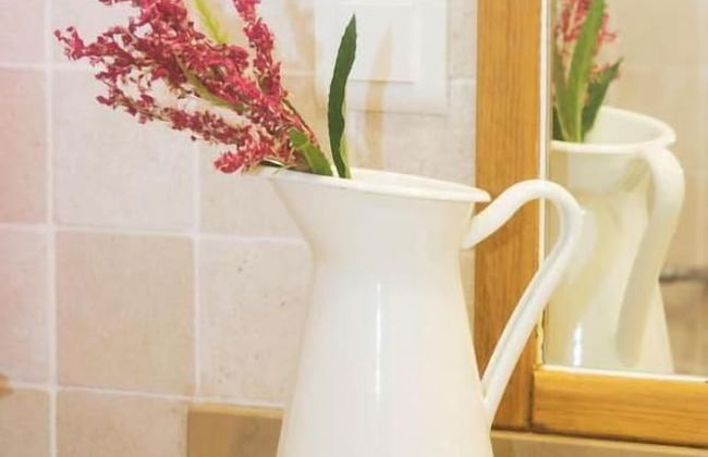 Casas da Tia Alice - Foto 11