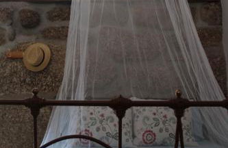 Bosque dos Amieiros - Foto 24