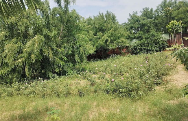 Janardan Resort Pushkar - Foto 12