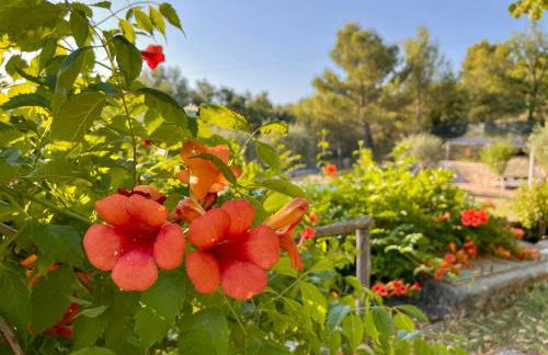 Villa immersa nella Serenità - Photo 42
