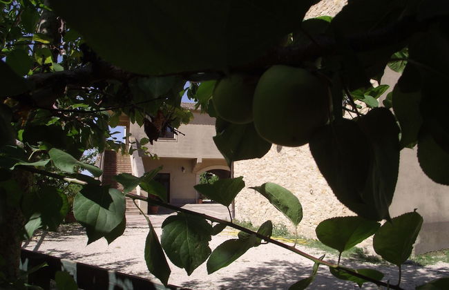 Casale delle Rose - Photo 65