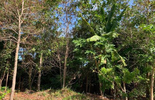 Large house with pool, barbecue and garden - Foto 44