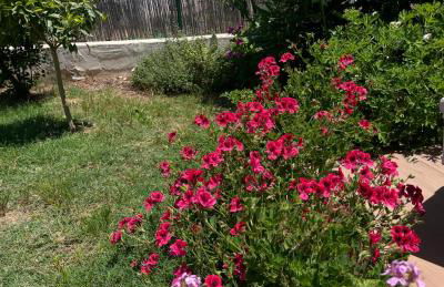 Casa Priscilla - Foto 12