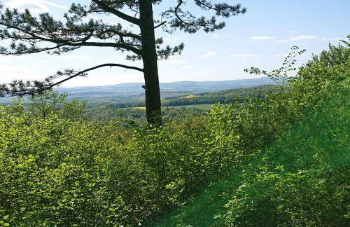 Im Buchenwäldchen - ruhig gelegenes Haus in der Natur für bis zu 12 Personen - Foto 39