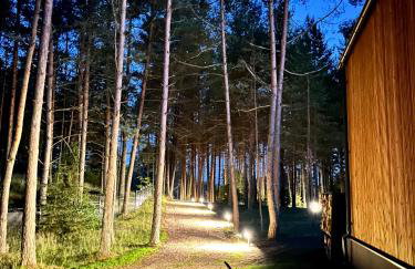 Raj na Kaszubach - Pałubicka Bór - Domy na Wynajem - Foto 49