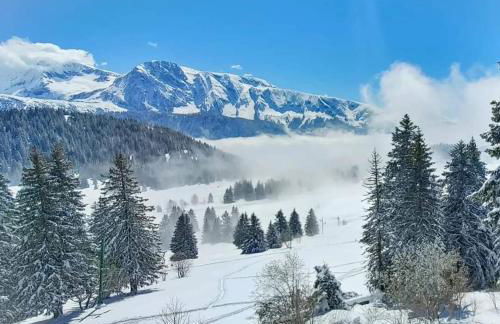 Chamrousse 1700 - Les Domaines de LArselle - Silènes C32 - Classé 3 étoiles- Vue sur les montagnes - - Foto 18