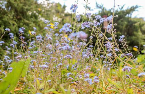 Spout Cottage - Foto 25