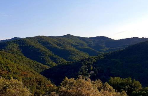 Magnifique villa au cœur des Cévennes - Foto 28
