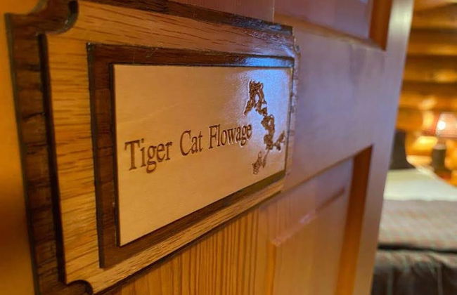 Grand View Log Cabin - Photo 15