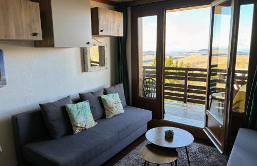 Lama-Gîte-des-Puys T3 Lamadalet, vue sud, terrasse, parking privé - Foto 7