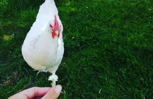 Loft am Diek - Foto 41