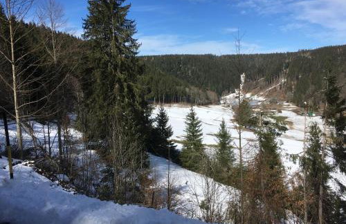 GreenHolidays - Foto 48