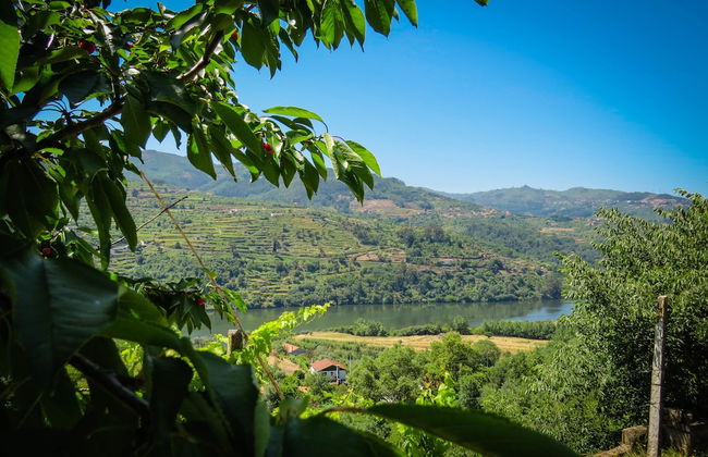 Casa da Mouta - Douro Valley - Foto 16