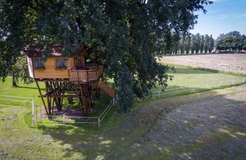 Agriturismo Relais Tenuta il Cigno - Foto 133