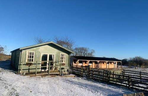 Owls Nest Log Cabin - Foto 22