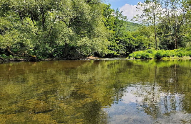 Catskill Retreat - Foto 41