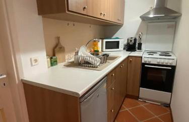 Spacious n comfortable Aloe Vera farm house - Photo 3