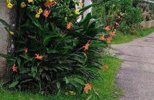 Casa da Flor - Photo 19