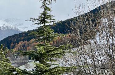 AbitArt Bormio - Il Pettirosso - Foto 19