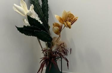 Résidence Cas’Antica - Foto 12