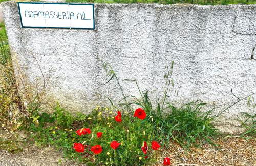 Adamasseria - Foto 21