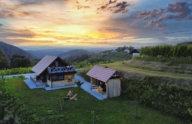 Vineyard cottage Vinska grajska kašča - Foto 61