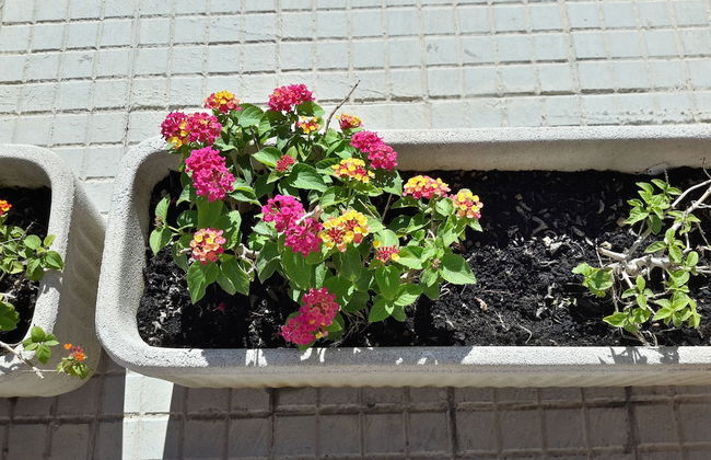 Butterfly Accommodation - Photo 24