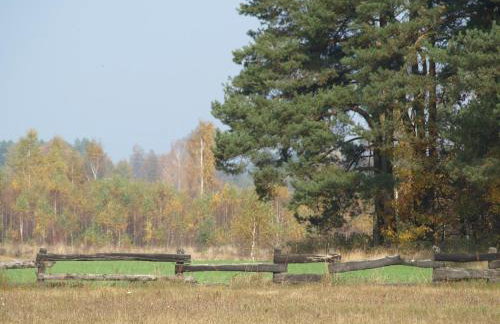 Wieża marzeń - Photo 14