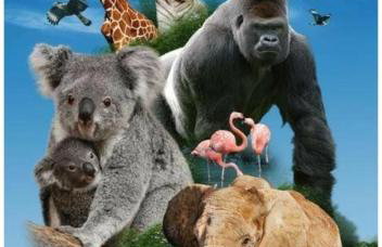 Studio Les coquelicots - Foto 23