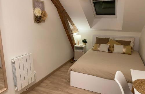 Chez Gustave charmant T2, 4 min place Ducale - Foto 7