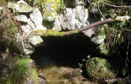 Waldbauernhof - Foto 12