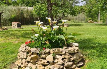 Agriturismo La Casa dei Ricordi - Foto 11