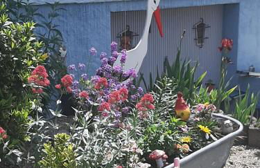 Gîte les chiwawas d'Alsace - Foto 11