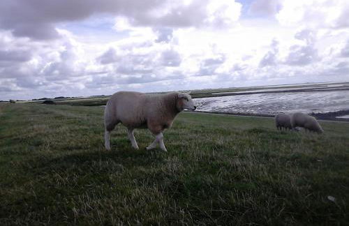 Haus Halligblick - Foto 73