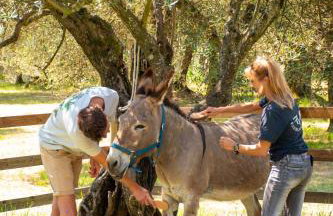 Fattoria di Maiano - Foto 12