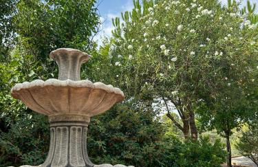 Finca Vitoria - Foto 21