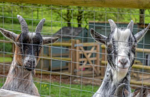 1 Bed in Stoke-on-trent oc-89733 - Foto 17